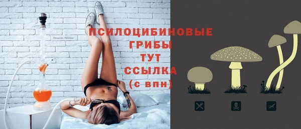 стаф Надым