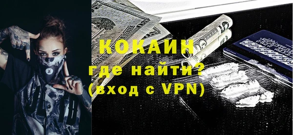 индика Болхов