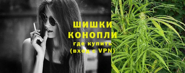 стаф Надым