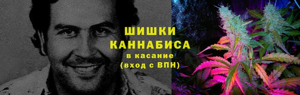 шишки Нефтекумск