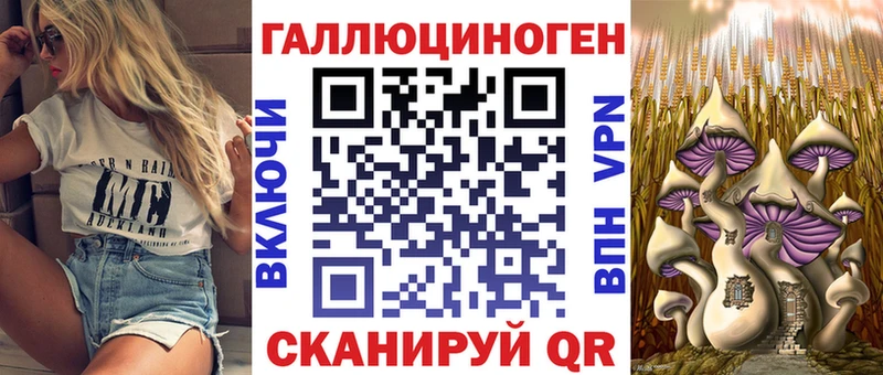 Галлюциногенные грибы Psilocybe  гидра сайт  Абакан 