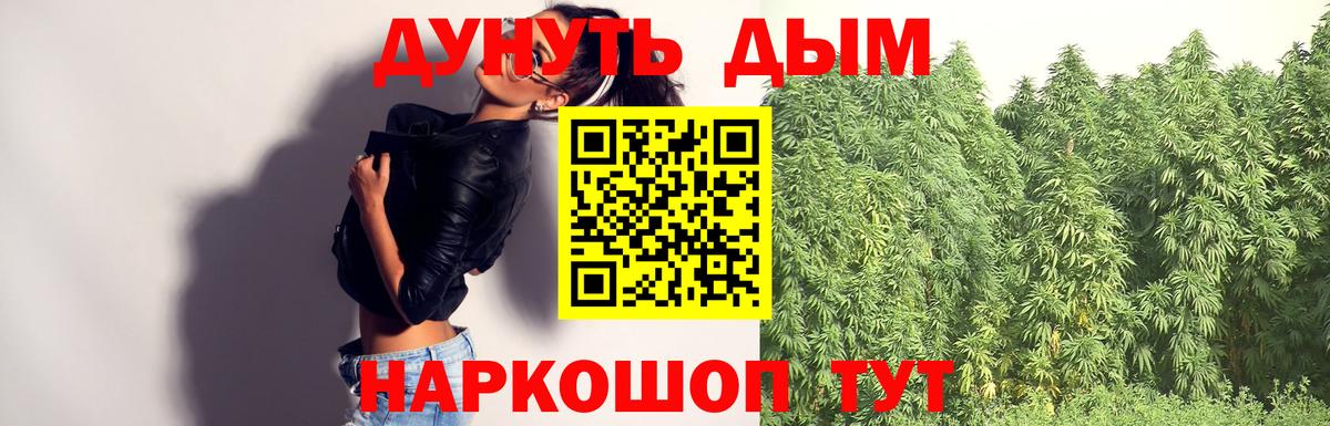 Шишки марихуана семена  Бошки Шишки план  Абакан  Вход с VPN 